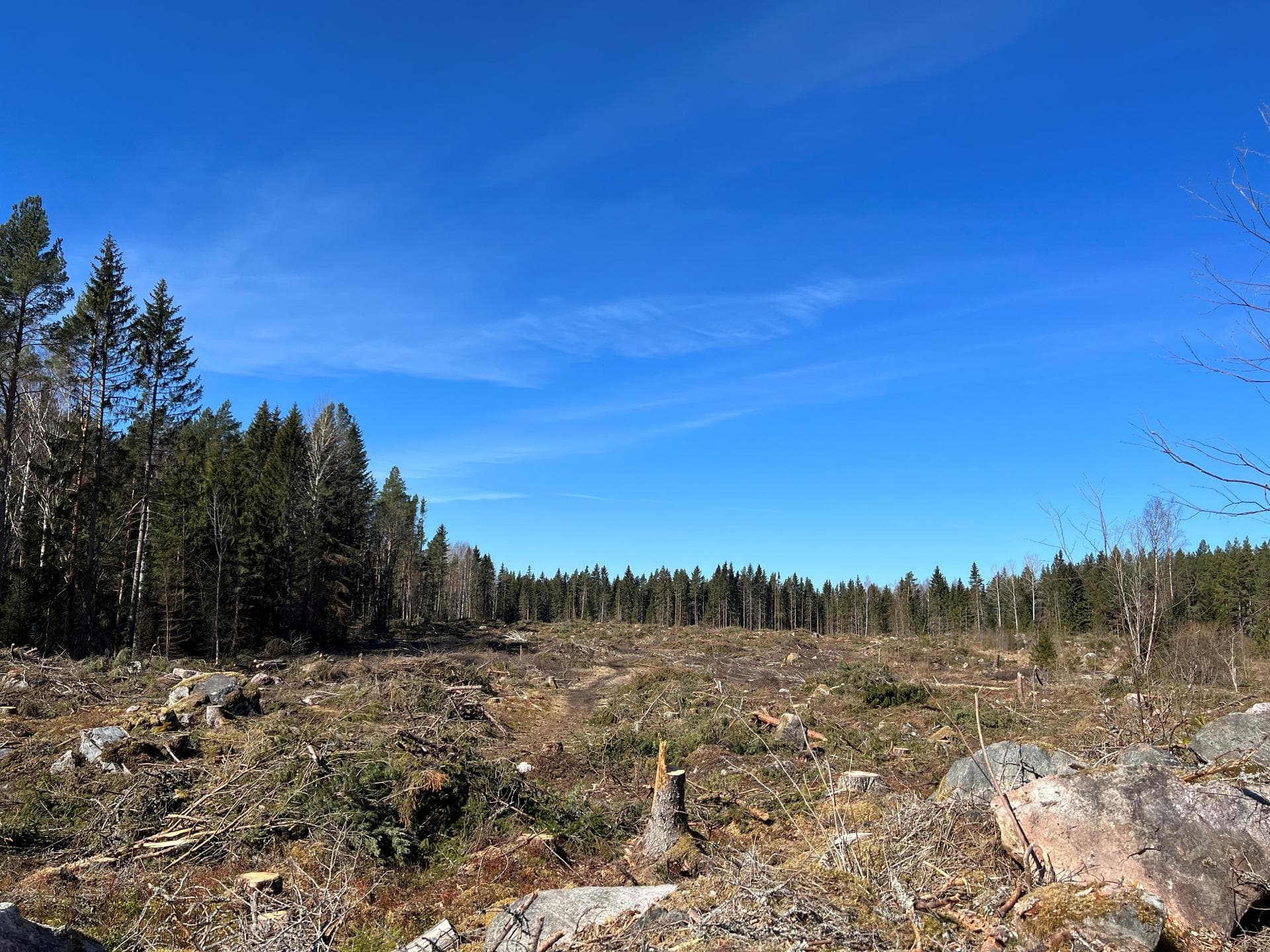 markerat med C1 på bifogad karta