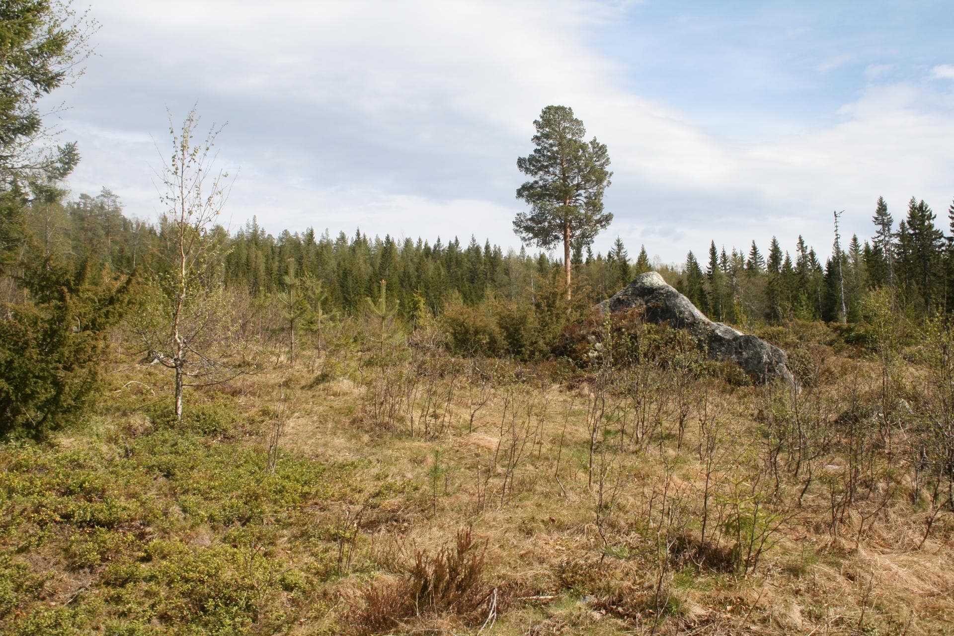 Aspvägen 2&4