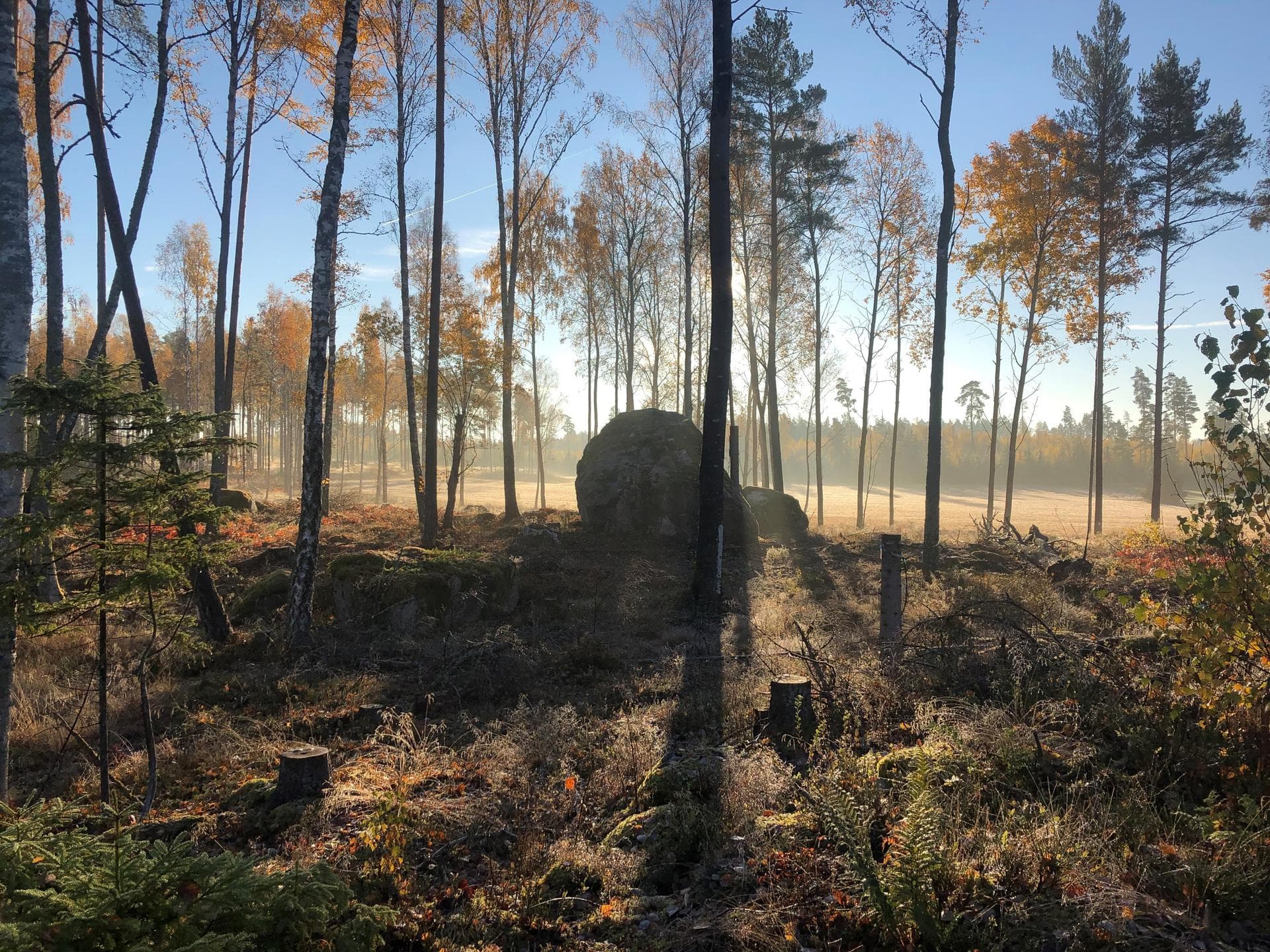 Jättekastet Årby 50