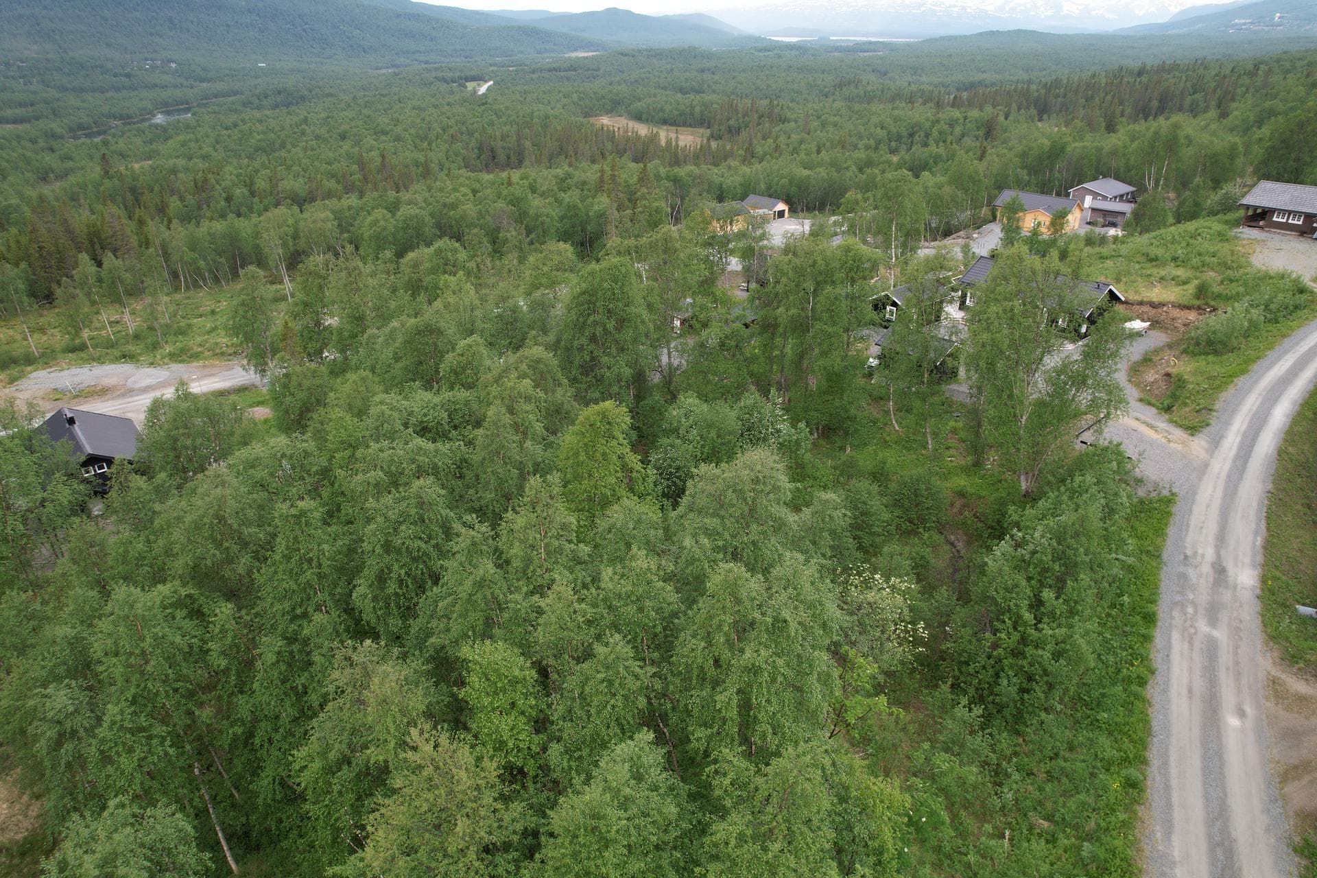 Krokfors 321