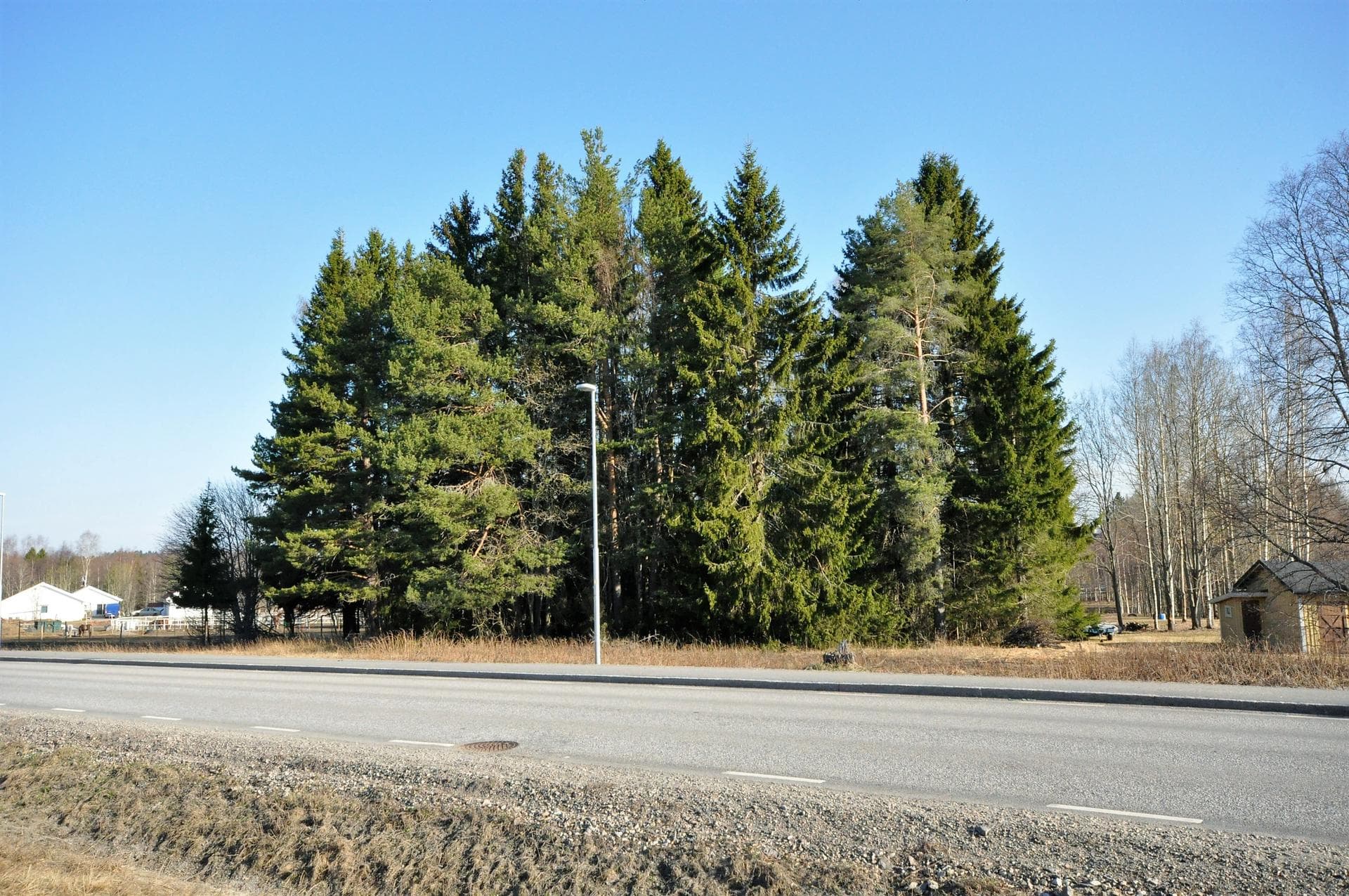 ÄLVA 4:76