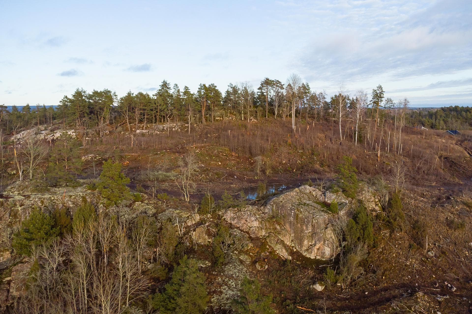 Grånestad 9