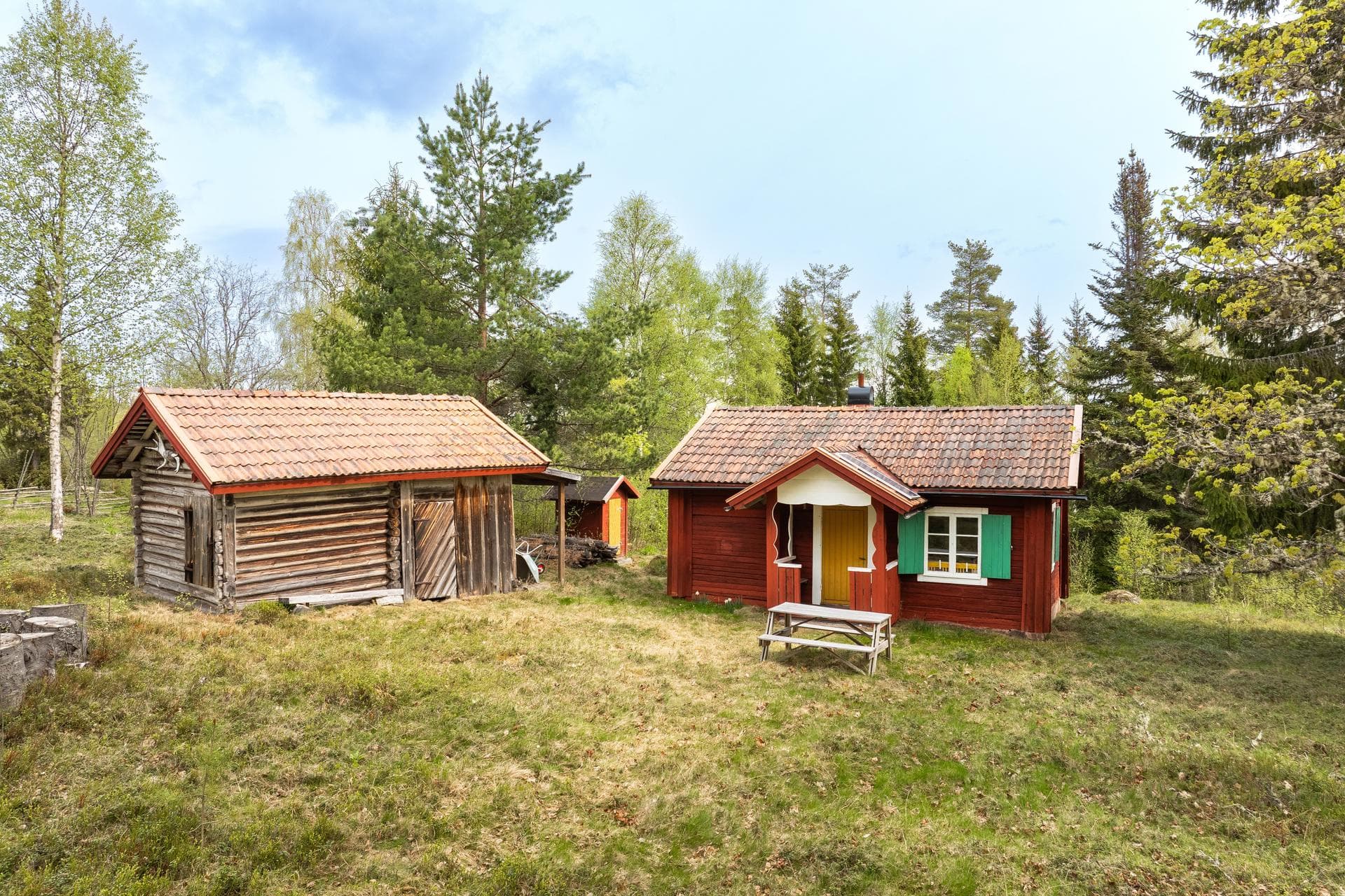 Finnlindorna 55