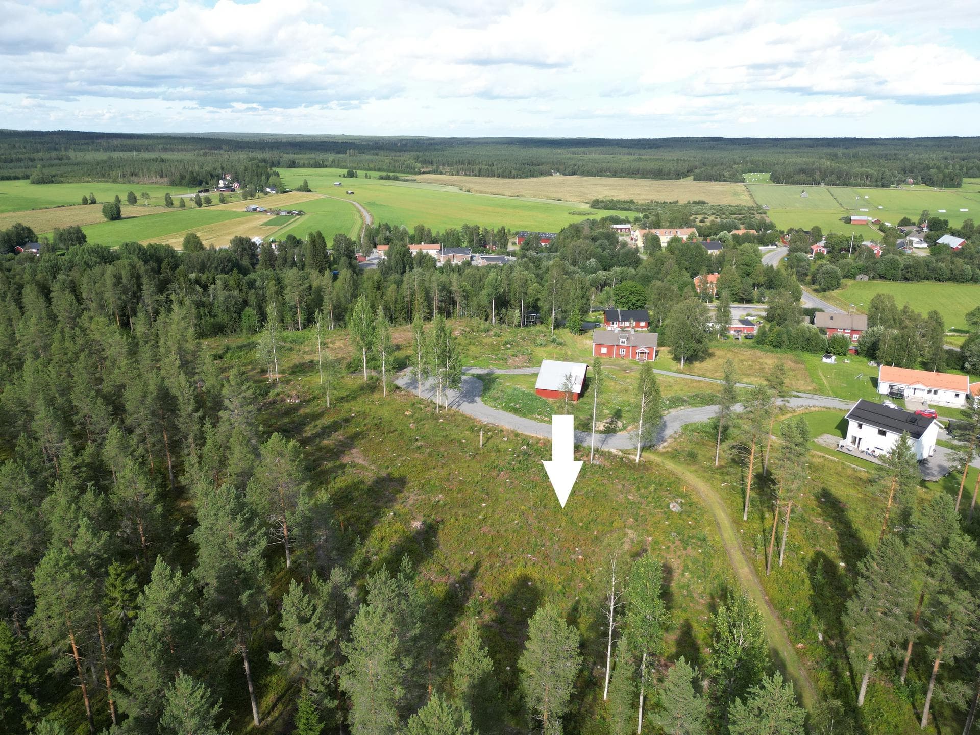 FLURKMARK 1:81