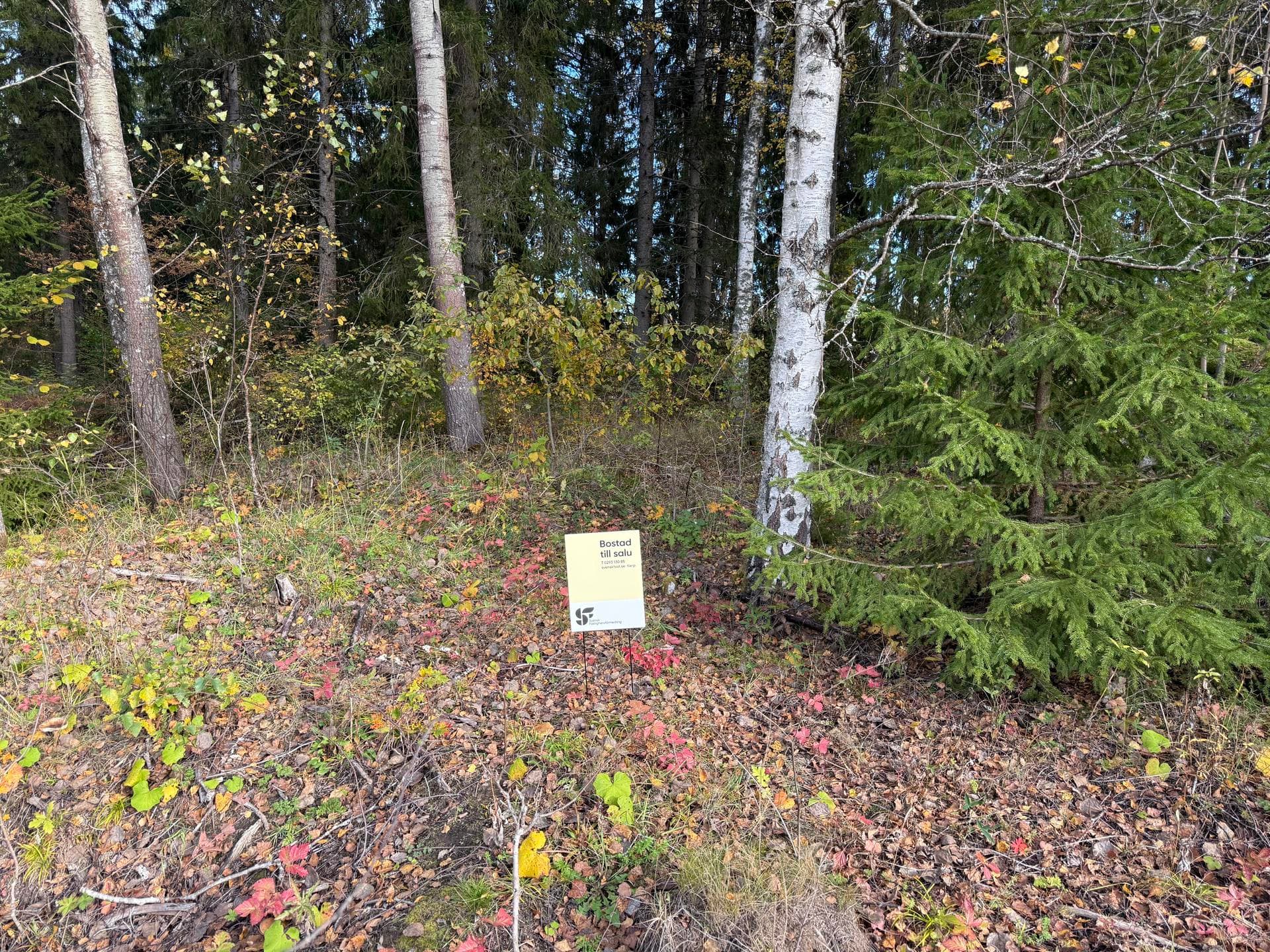 Snatra | Svensk Fastighetsförmedling