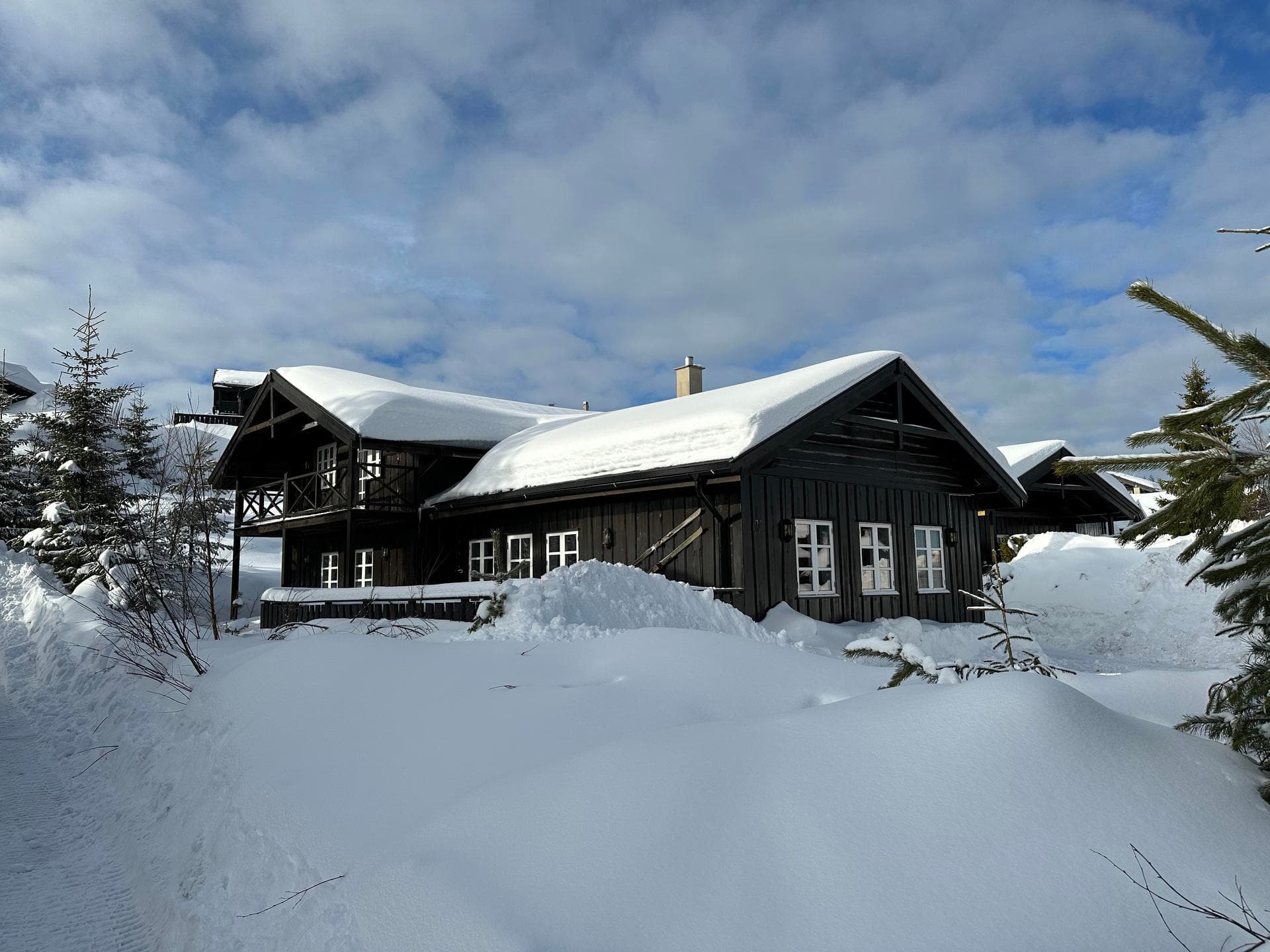 Orren 21
