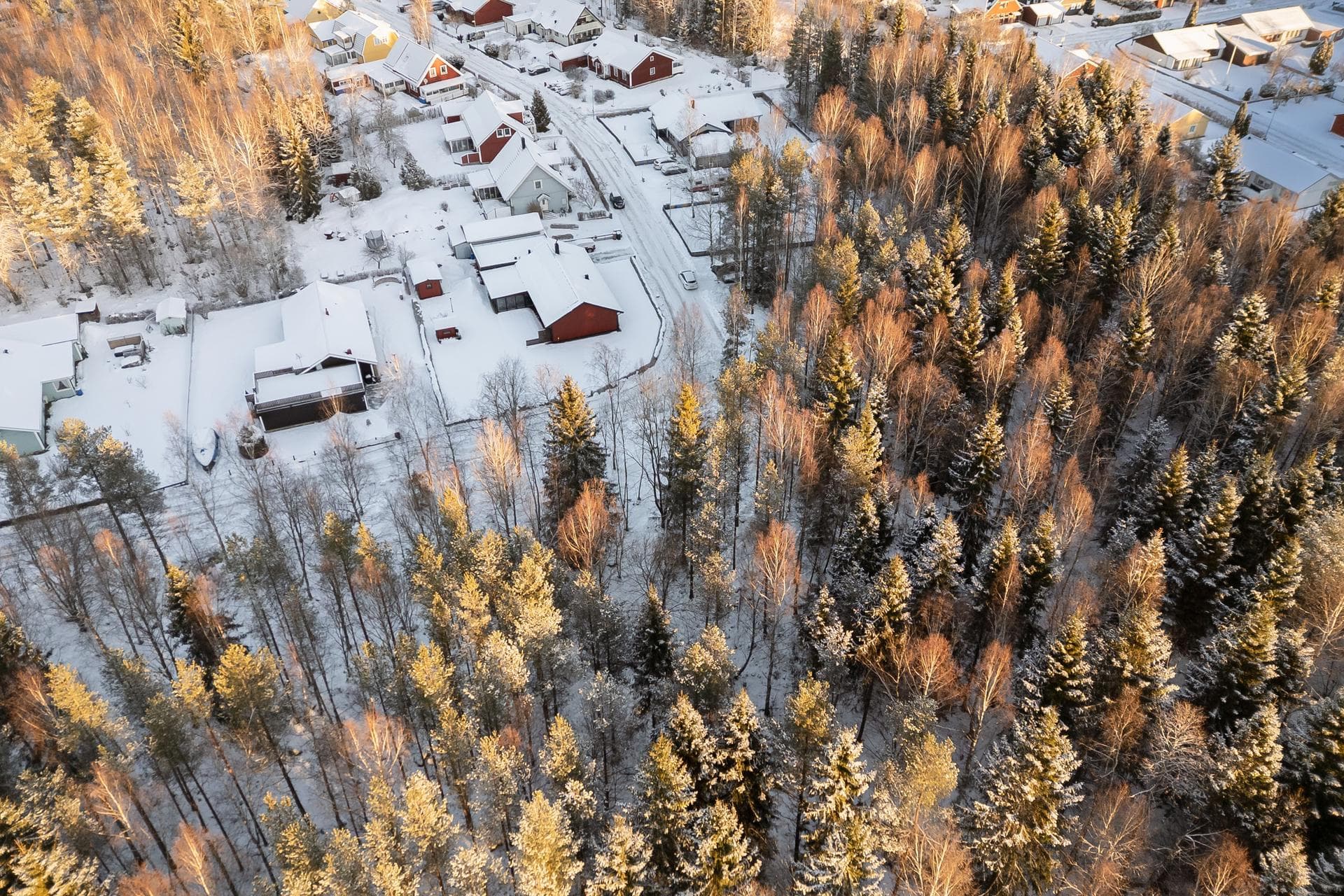 Blåbärsvägen 39