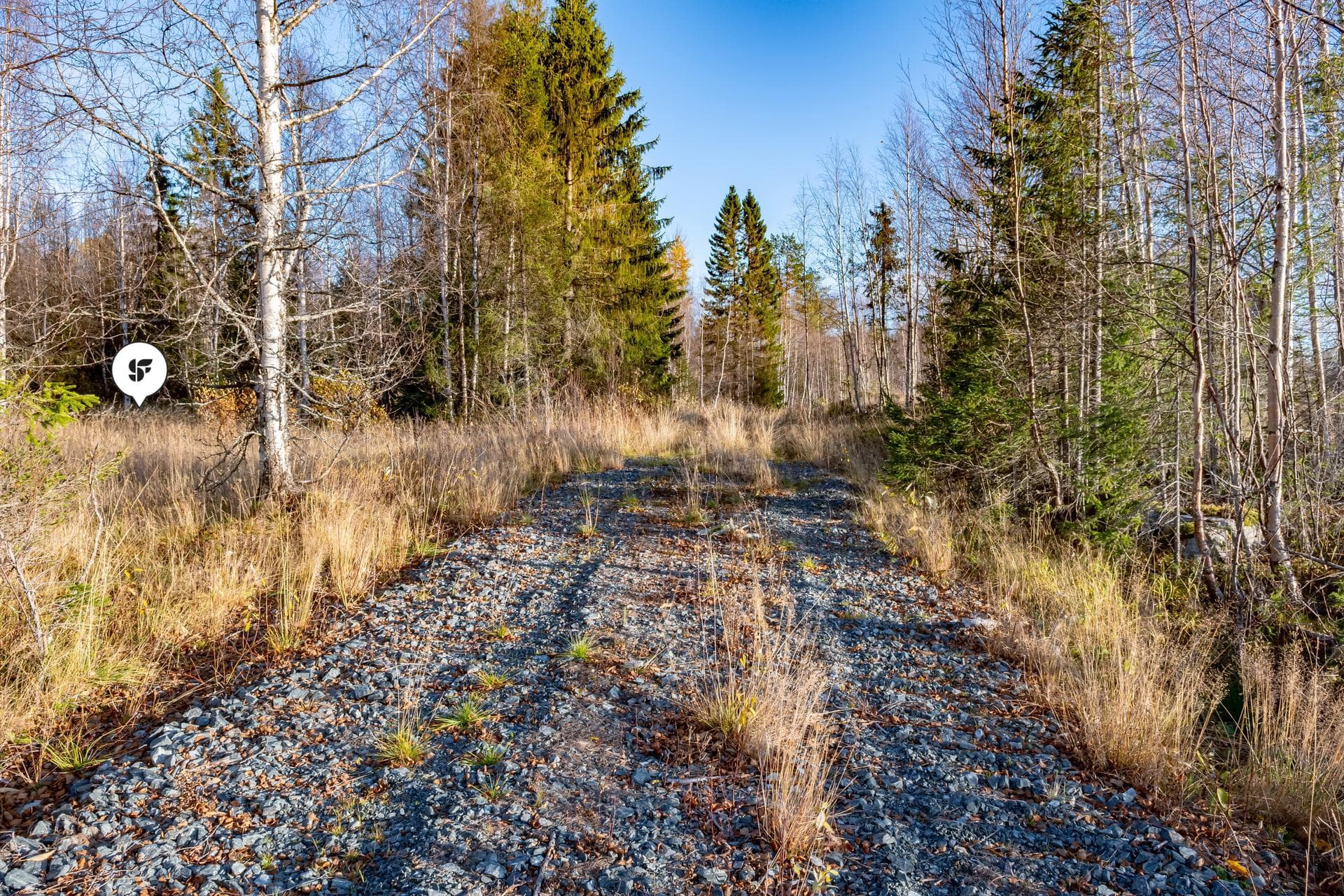 JÄRVSJÖ 1