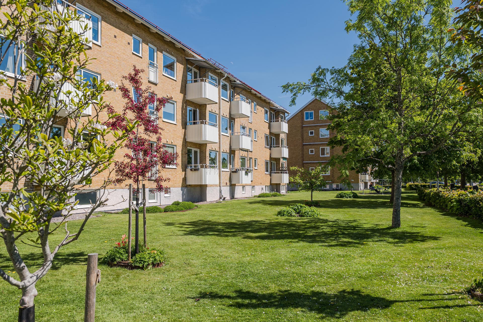 Bangatan 31