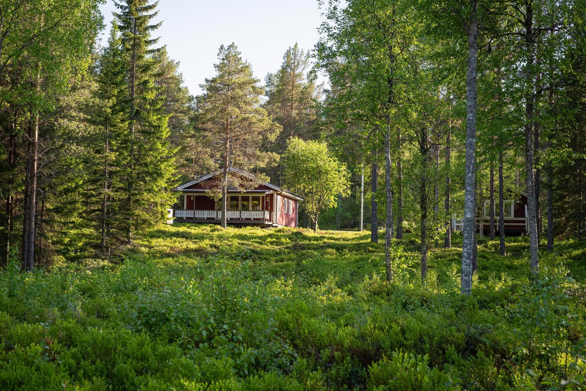 Buskön 109