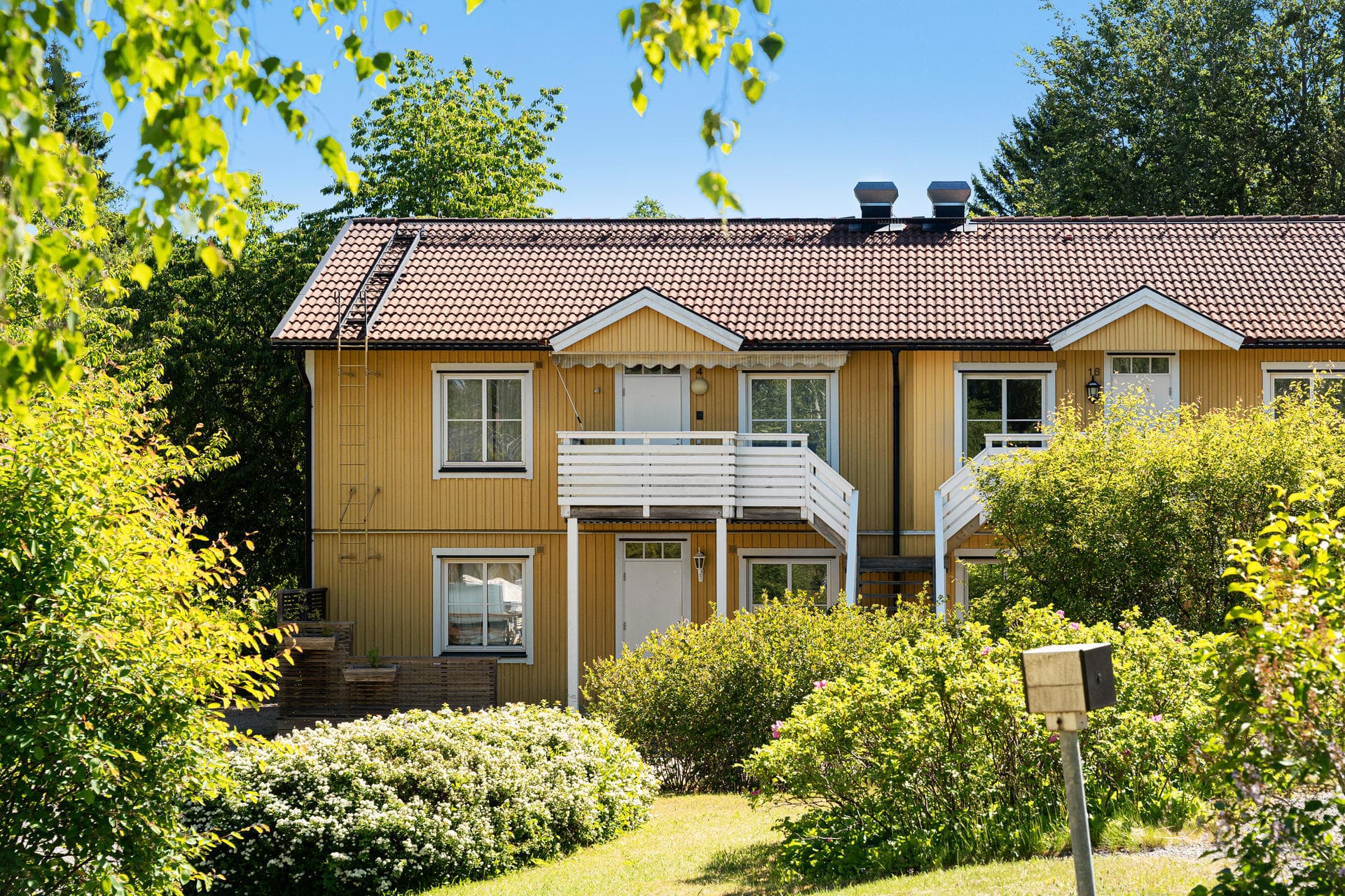 Björkvägen