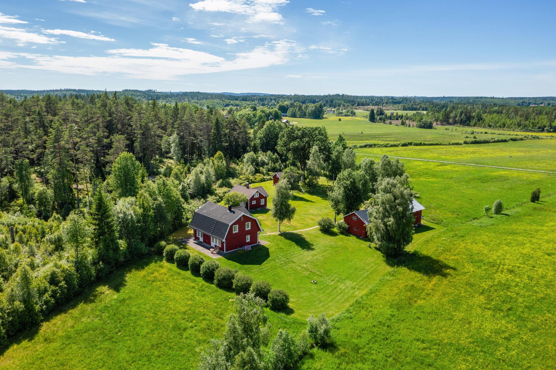 Grönlanda 8