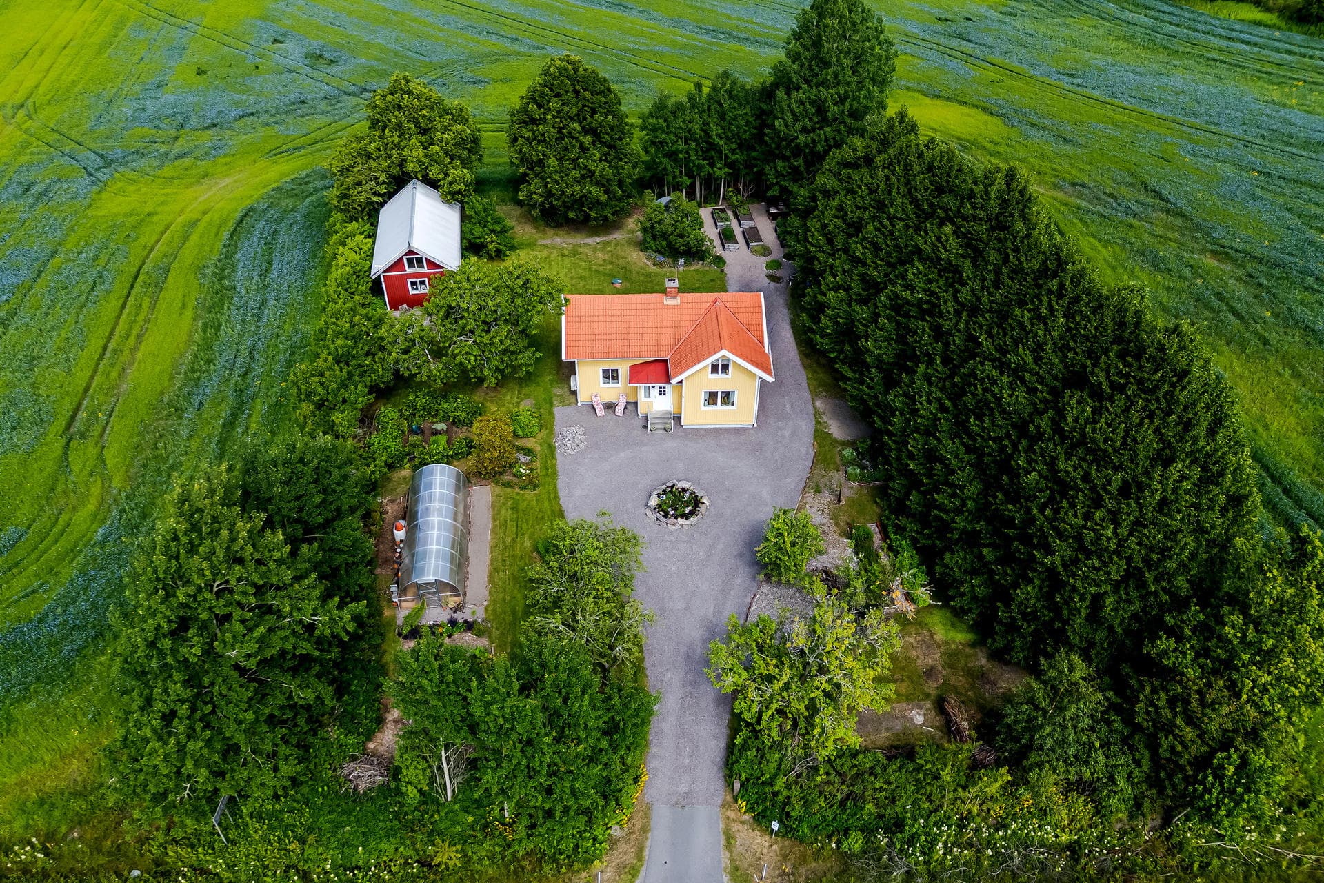 Högen 5