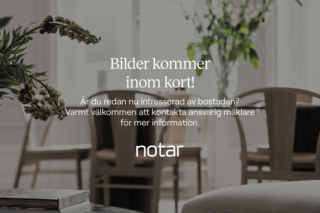 Notar